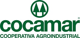 colectiva