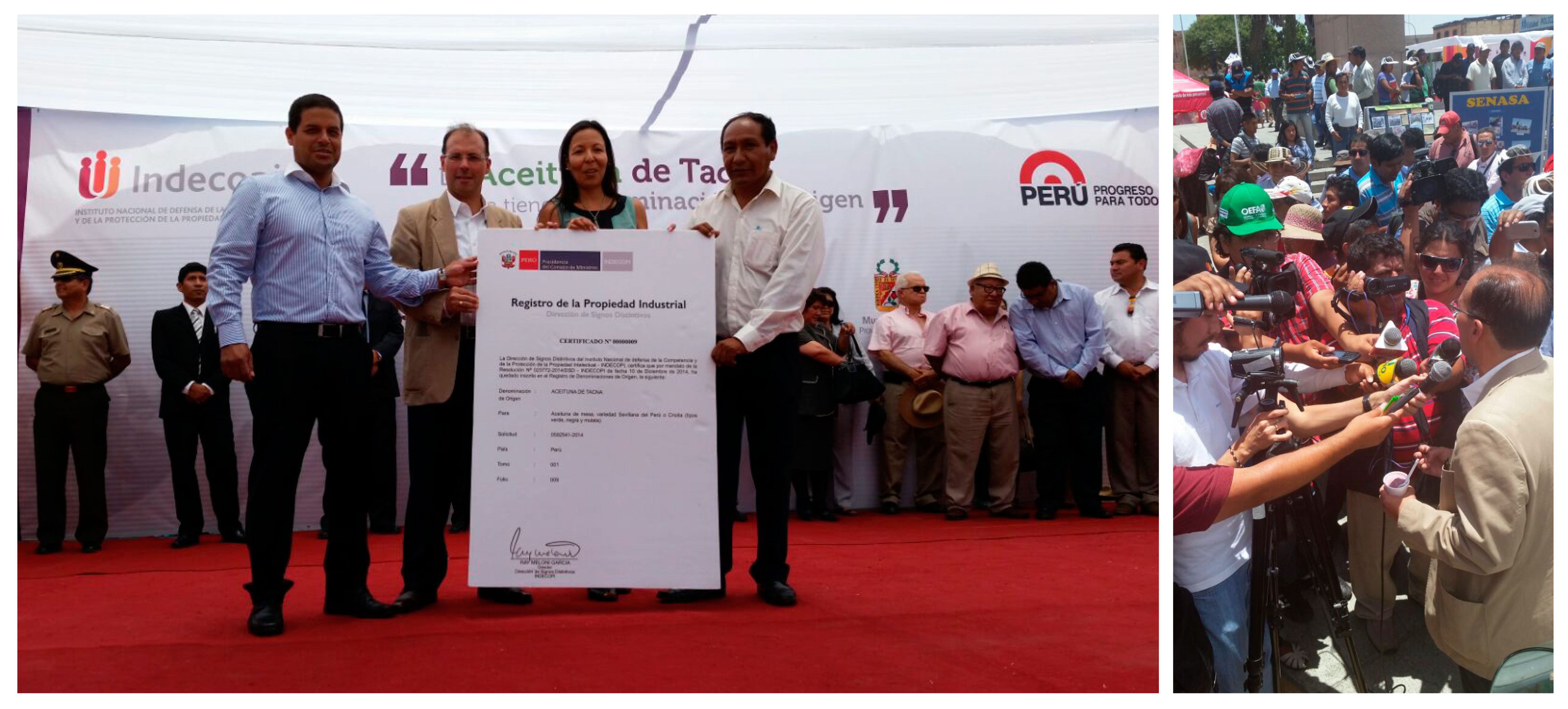 El presidente del Indecopi entregó el certificado de denominación de origen Aceituna Tacna a los olivicultores de la zona.